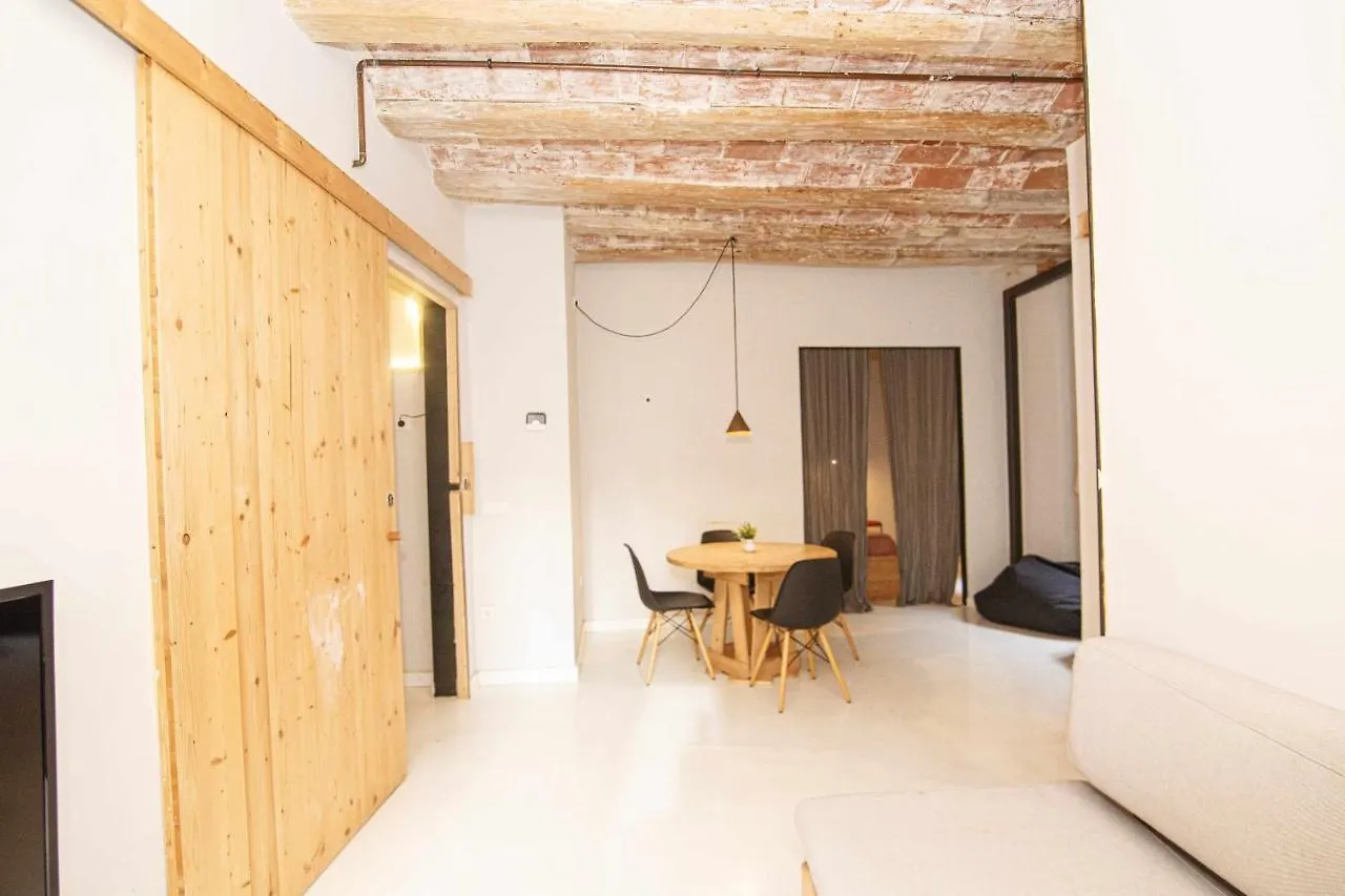 Apartamento Tr Auriga En El Barri Vell Girona Apartment