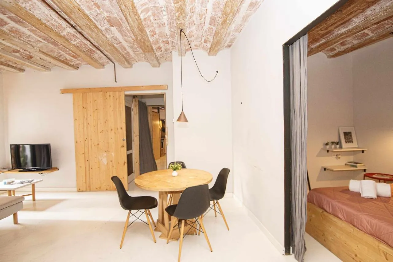 Apartamento Tr Auriga En El Barri Vell Girona