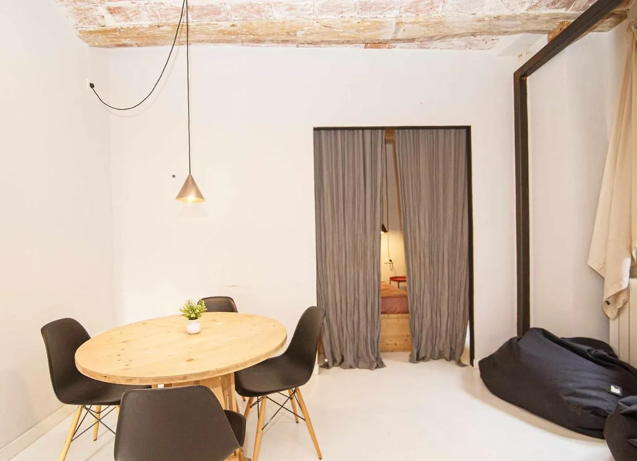 Apartment Apartamento Tr Auriga En El Barri Vell Girona