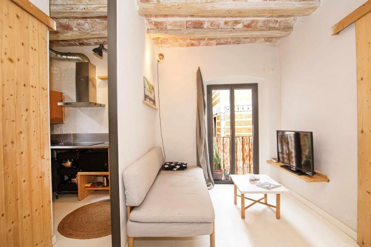 Apartment Apartamento Tr Auriga En El Barri Vell Girona