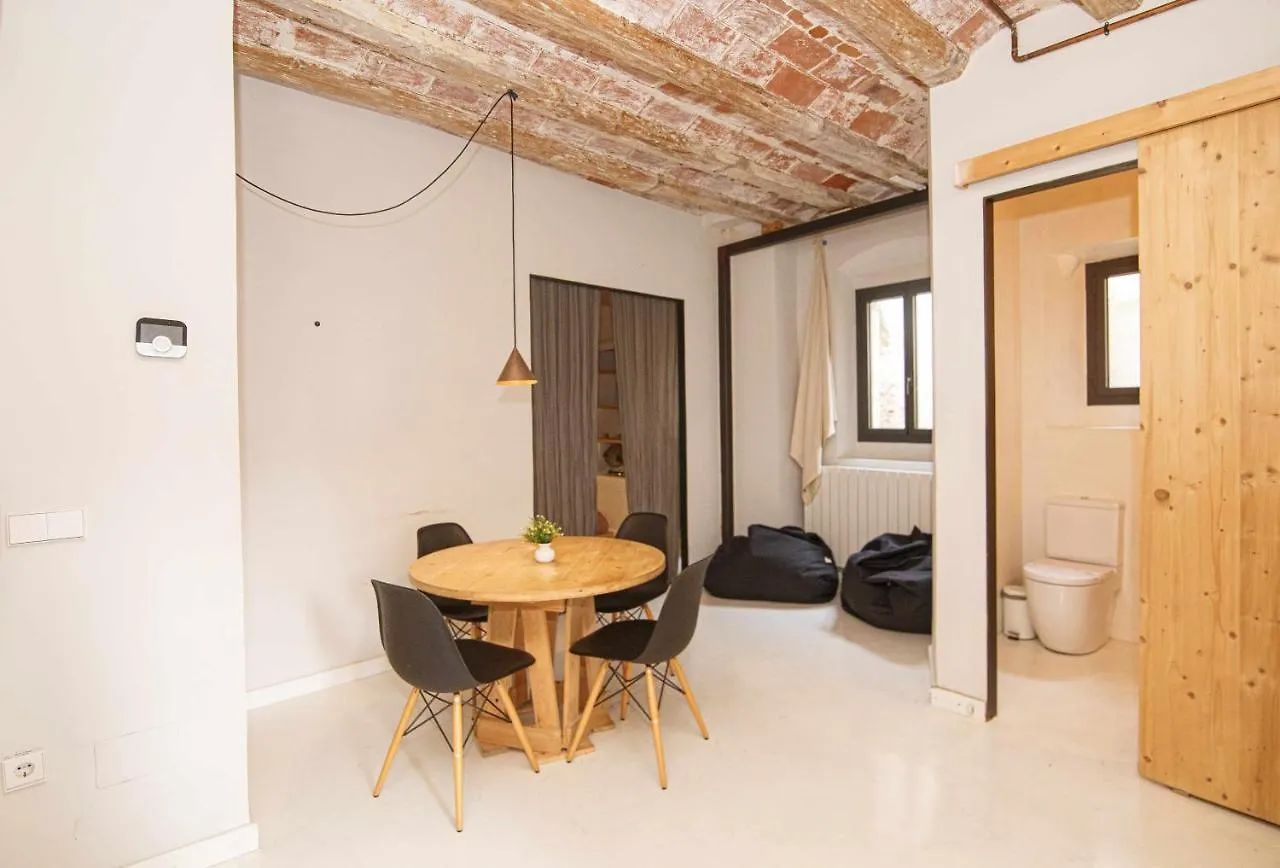 Apartamento Tr Auriga En El Barri Vell Girona