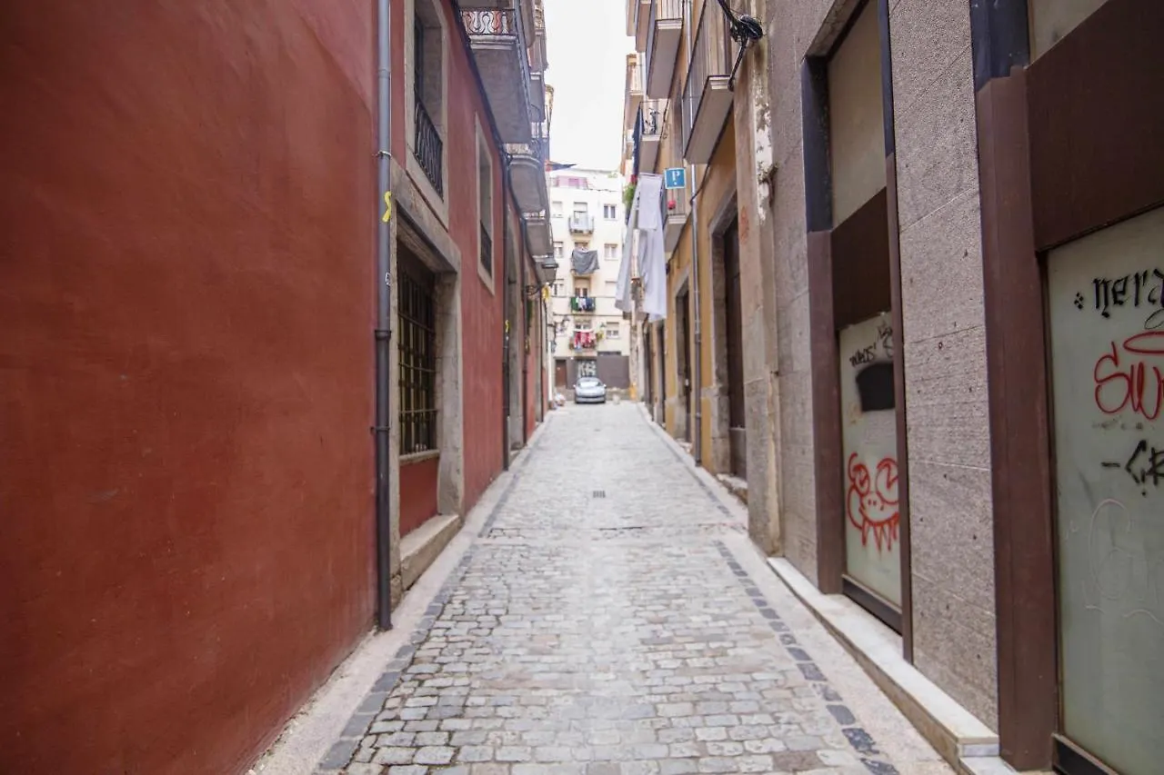 Apartamento Tr Auriga En El Barri Vell خيرونا شقة