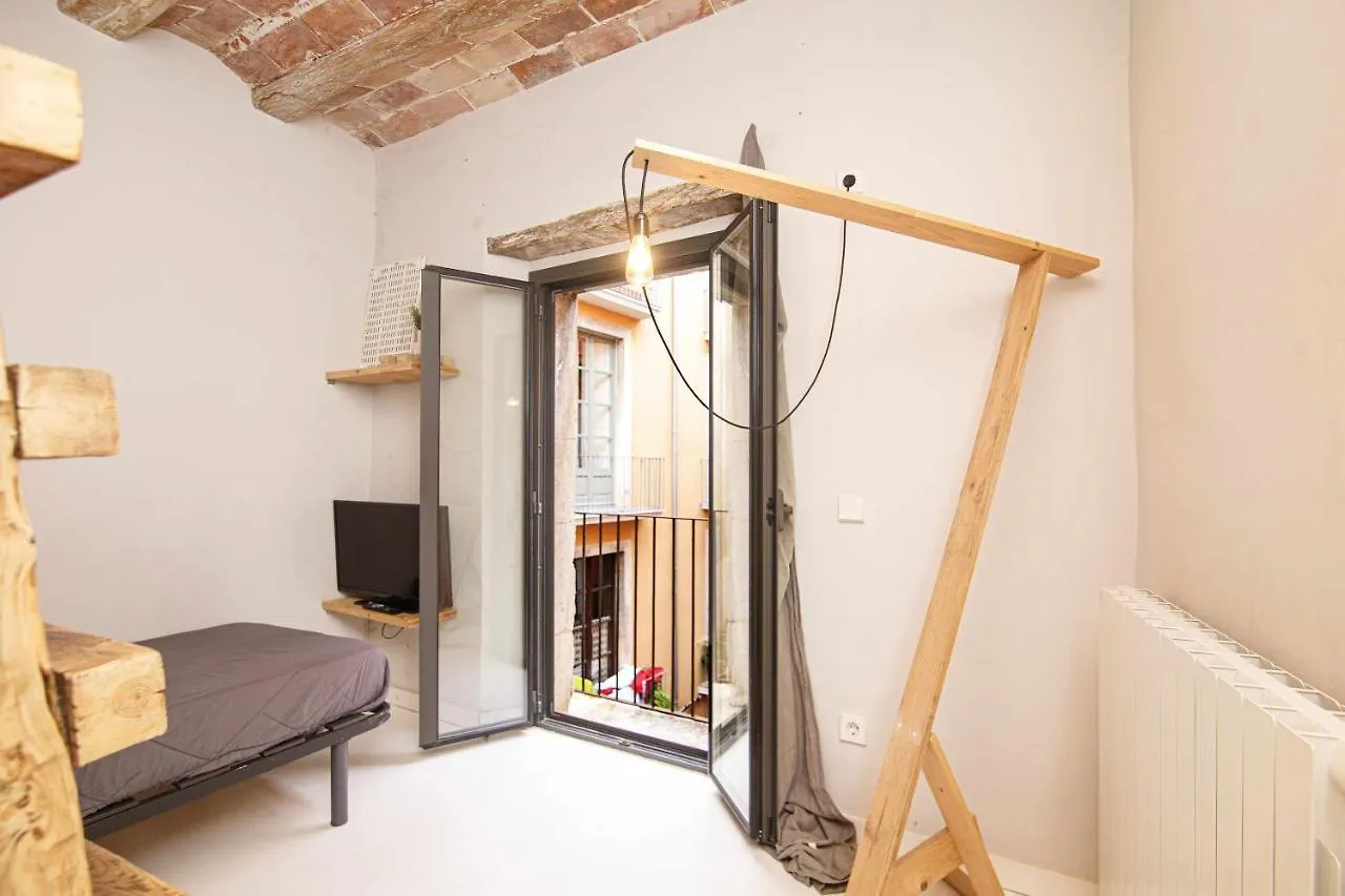 Apartamento Tr Auriga En El Barri Vell Girona Apartment