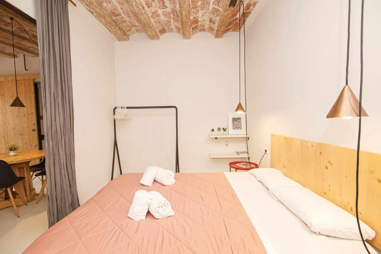 Apartamento Tr Auriga En El Barri Vell Girona 0*,  Spain