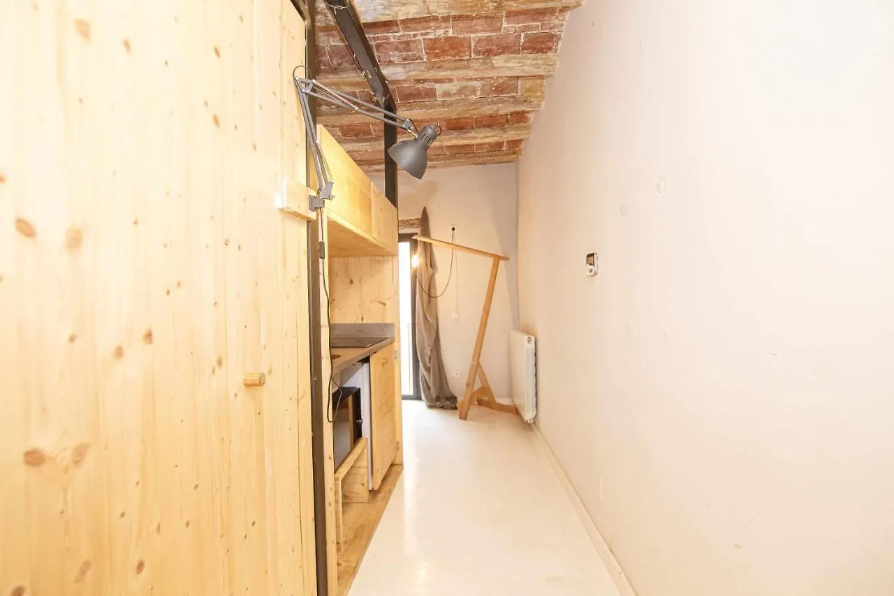 Apartment Apartamento Tr Auriga En El Barri Vell Girona Spain