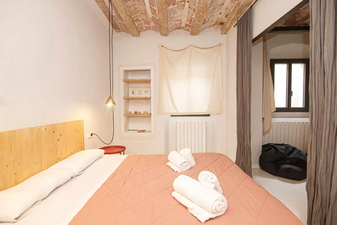 Apartamento Tr Auriga En El Barri Vell Girona Apartment